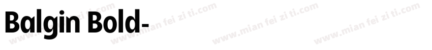 Balgin Bold字体转换